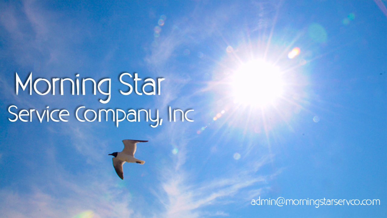 Morning Star Service Company Inc Morning Star Service Company Inc